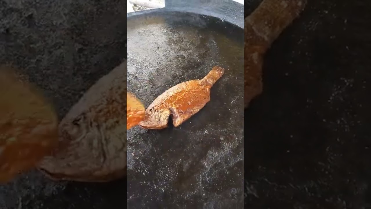 #shorts #short #fish #fishfry #fishing #cooking #lamake #seafood #seafoodfishing