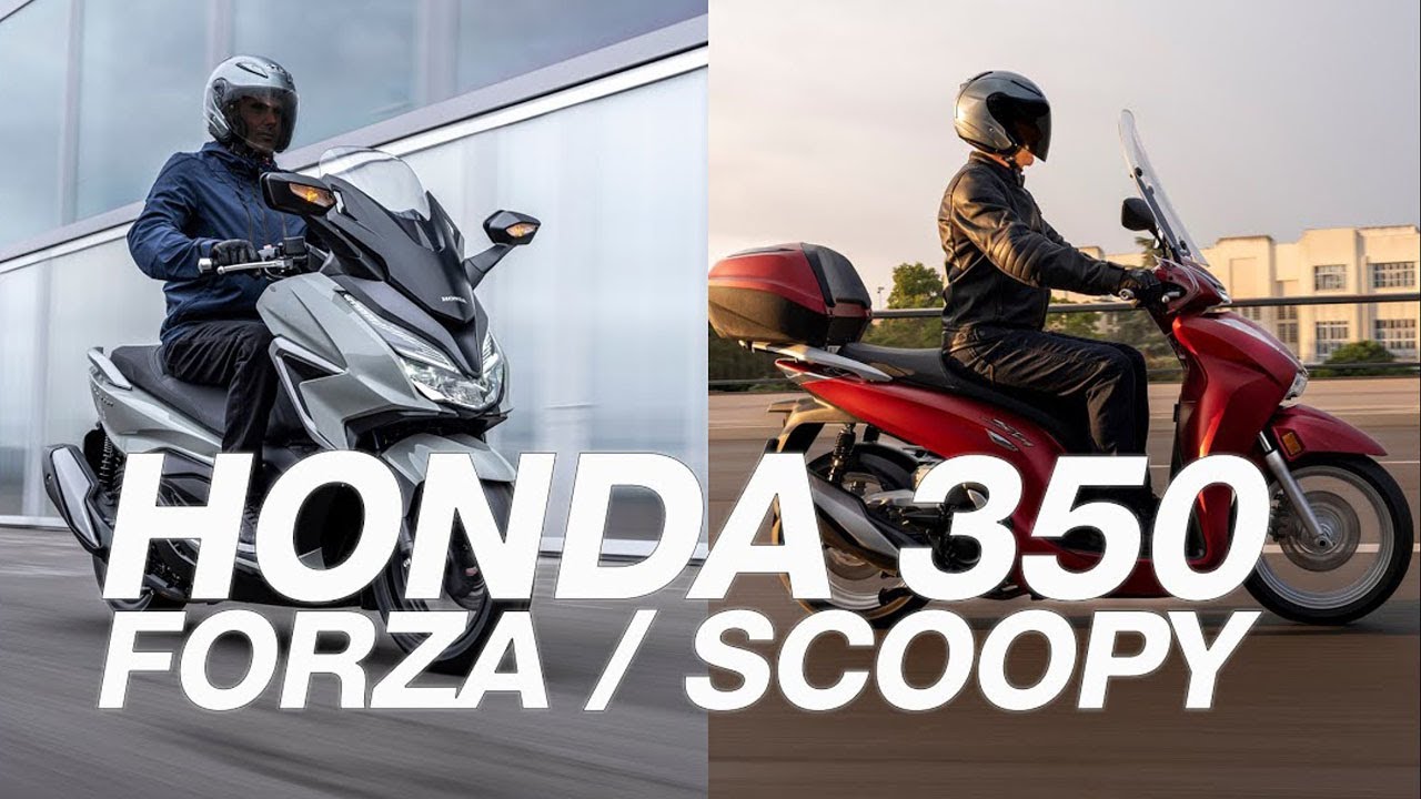 Honda Forza 350 & SH350 Scoopy 2021 | Novedades 2021 / Review en español