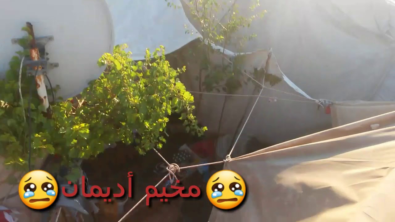 مخيم اديمان