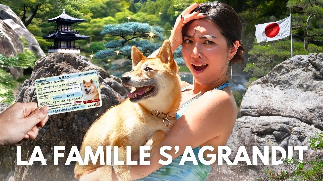 JE SUIS DOGSITTER AU JAPON !