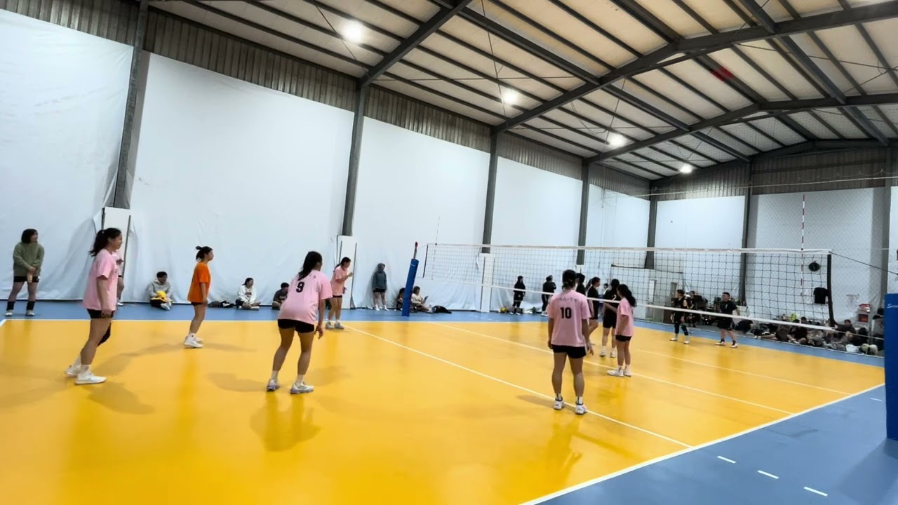 預賽 貓下去vs溪園路2