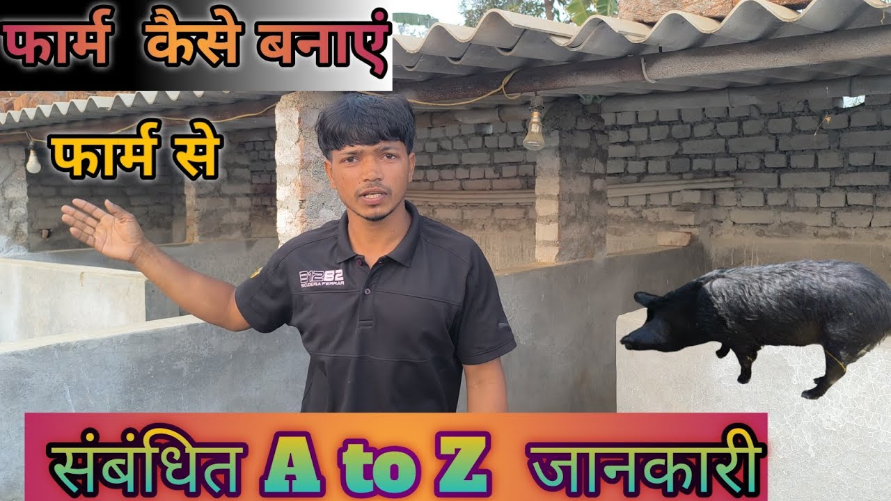  फार्म कैसे बनाएं#pigfeed #pigbreeding #pigfarming #vlog #pig RK pig farming ranchi 8084973109 
