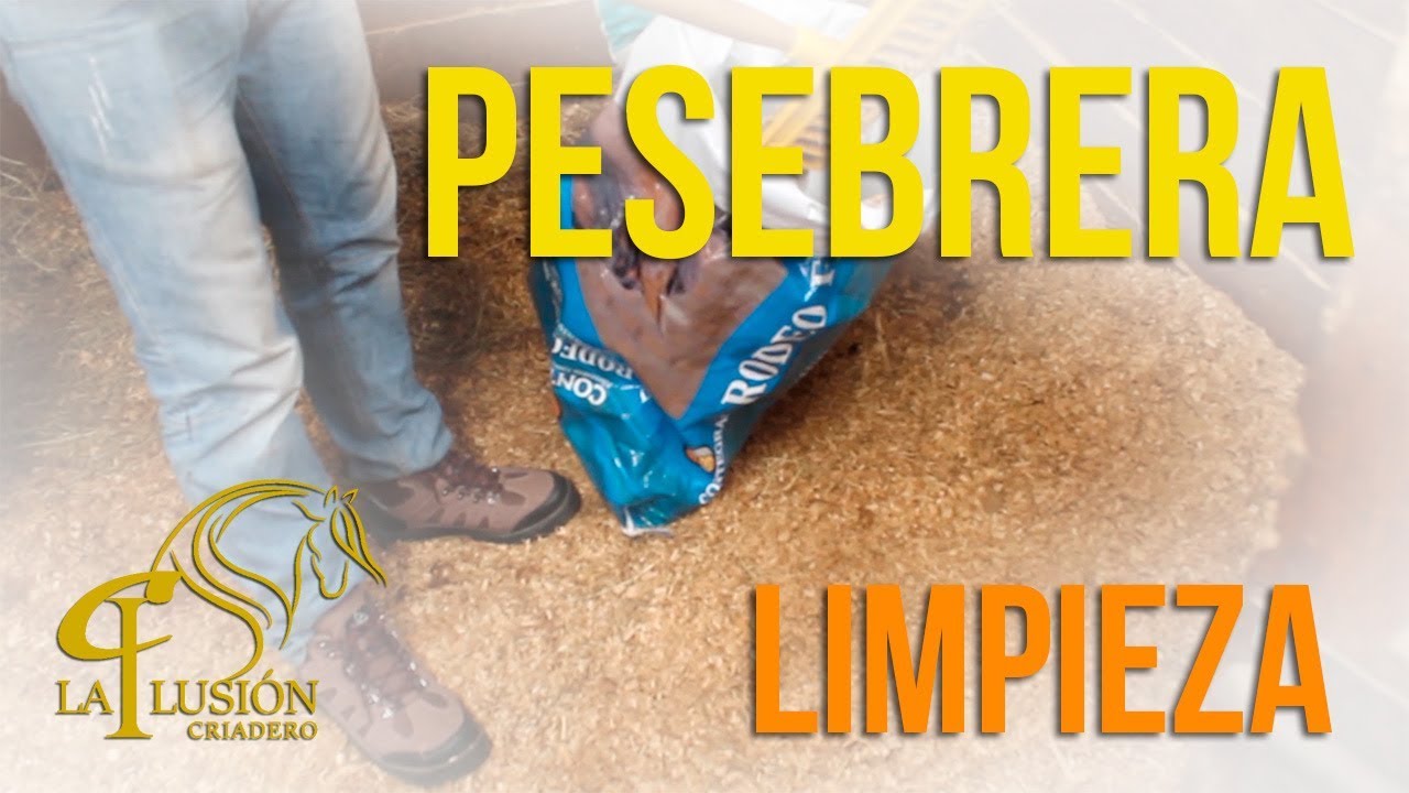 Como Limpiar una Pesebrera