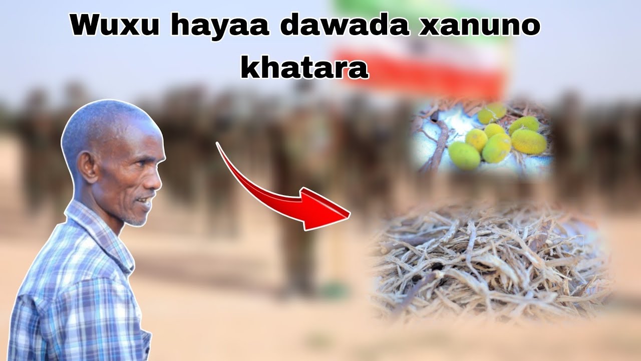 Nin reer Hargaysa ah oo Dawadii xanuunka Kansarka iyo Macaanka helay