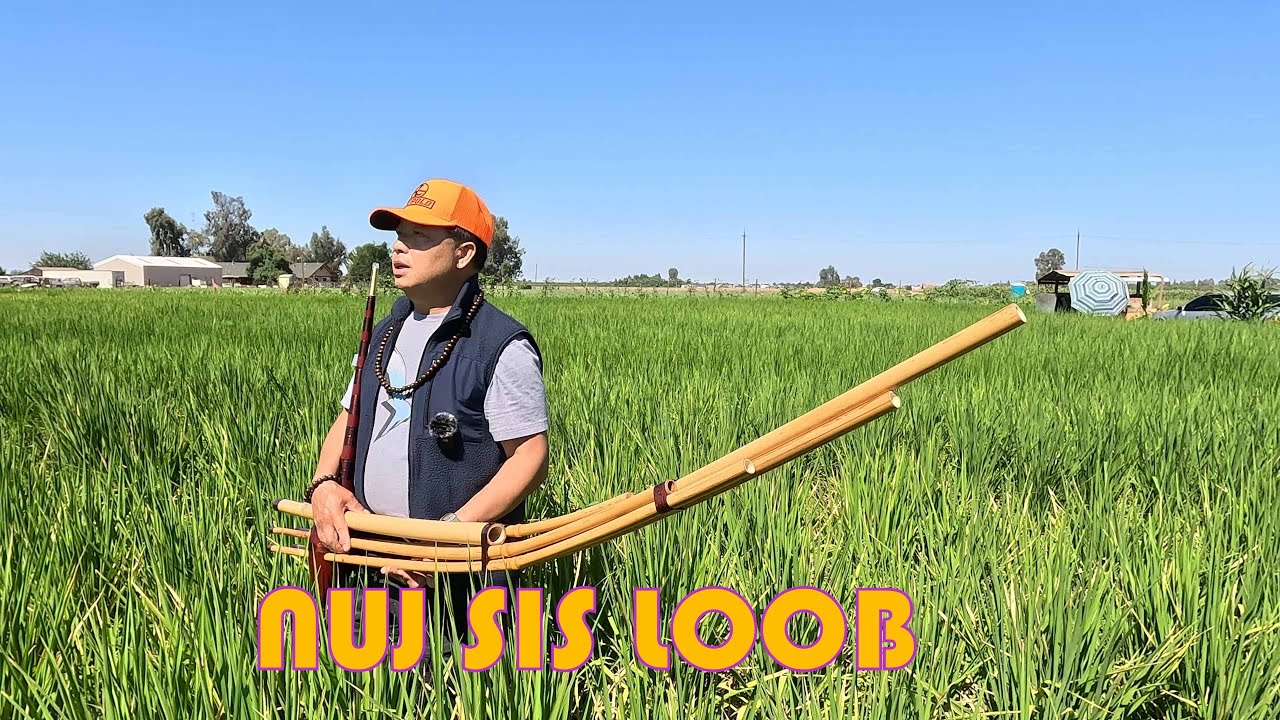 Nuj sis loob tuaj poob loob sis lis tuaj ti
