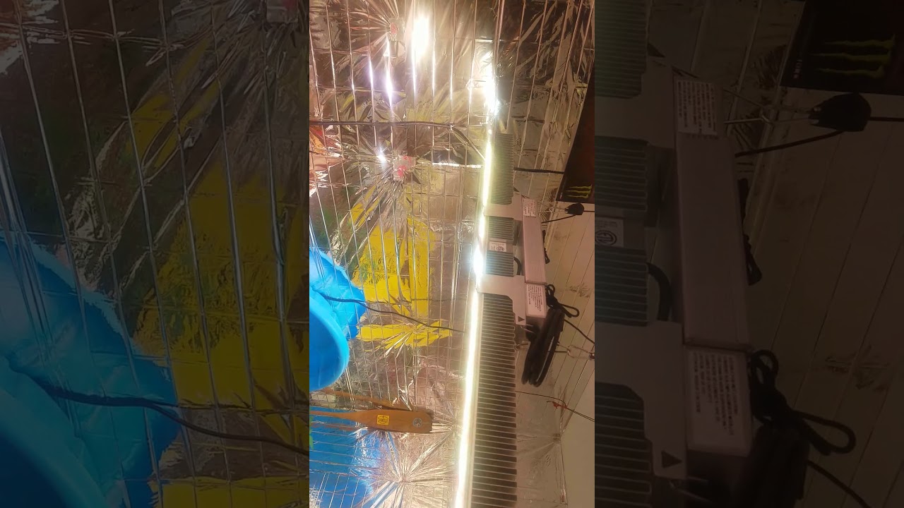 Indoor equipment update brought by ILLUMITEX  lighting