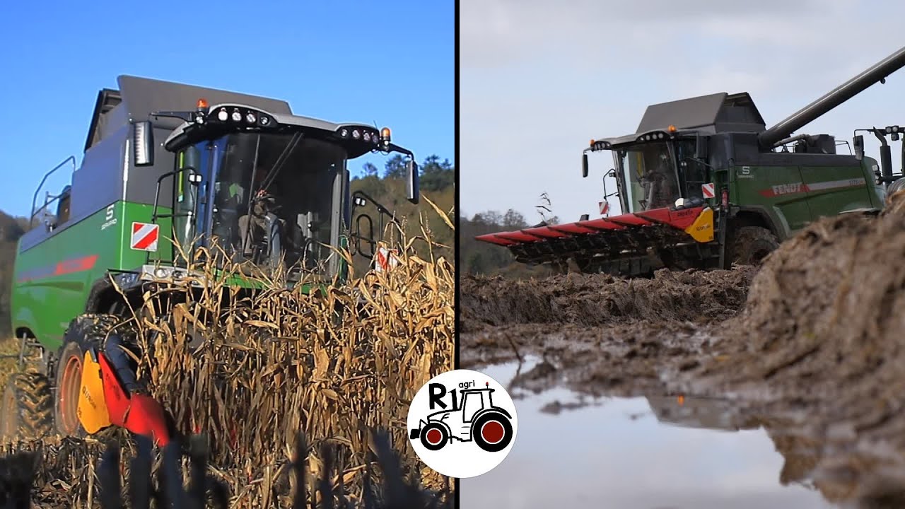 MAÏS GRAIN 2024 EN BRETAGNE, DANS LA BOUE, AVEC UNE EQUIPE 100% FENDT! CORN HARVEST