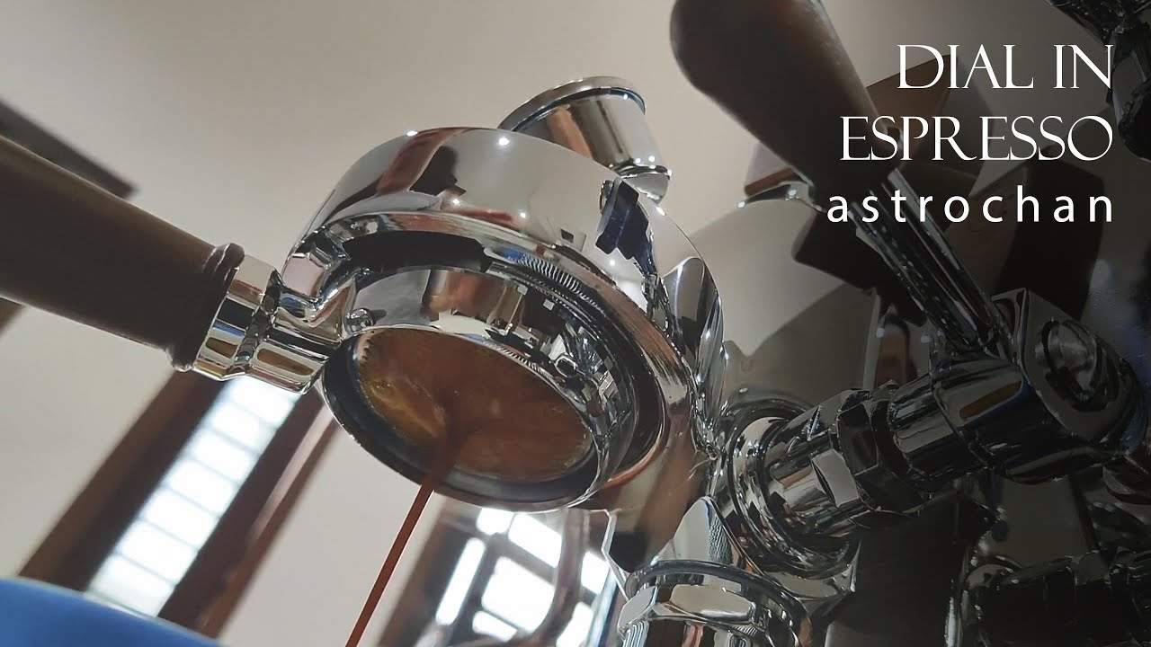 Dial In Espresso Workflow - Lelit Bianca V3 & Niche Zero