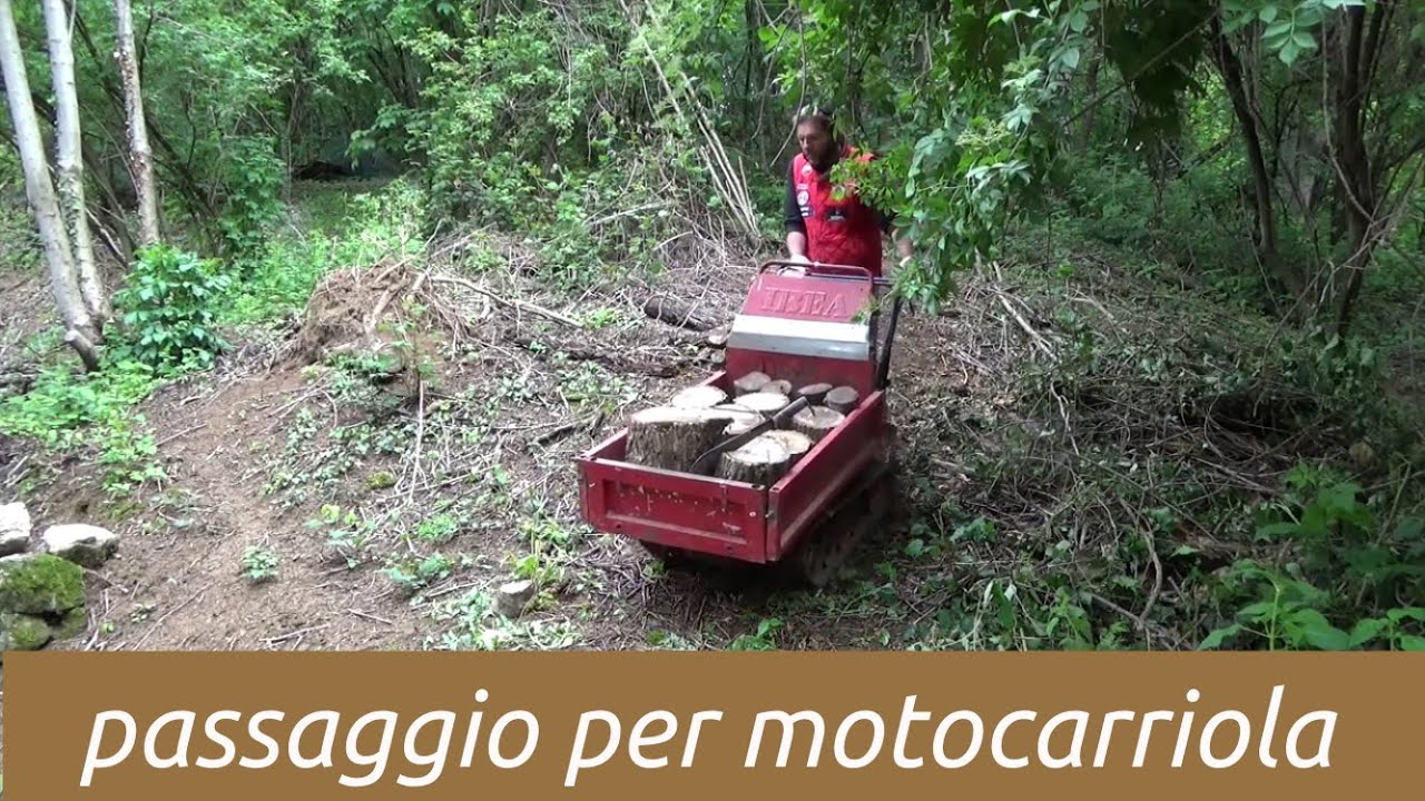 devo studiare come fare il passaggio per salire con la motocarriola e raggiungere l'orto nel bosco