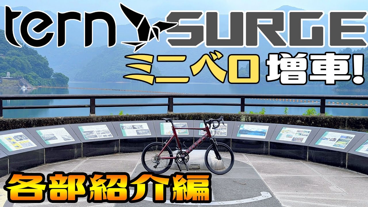 [Mini Velo Road Bike] Мы добавили больше моделей Tern SURGE [Обзор деталей]