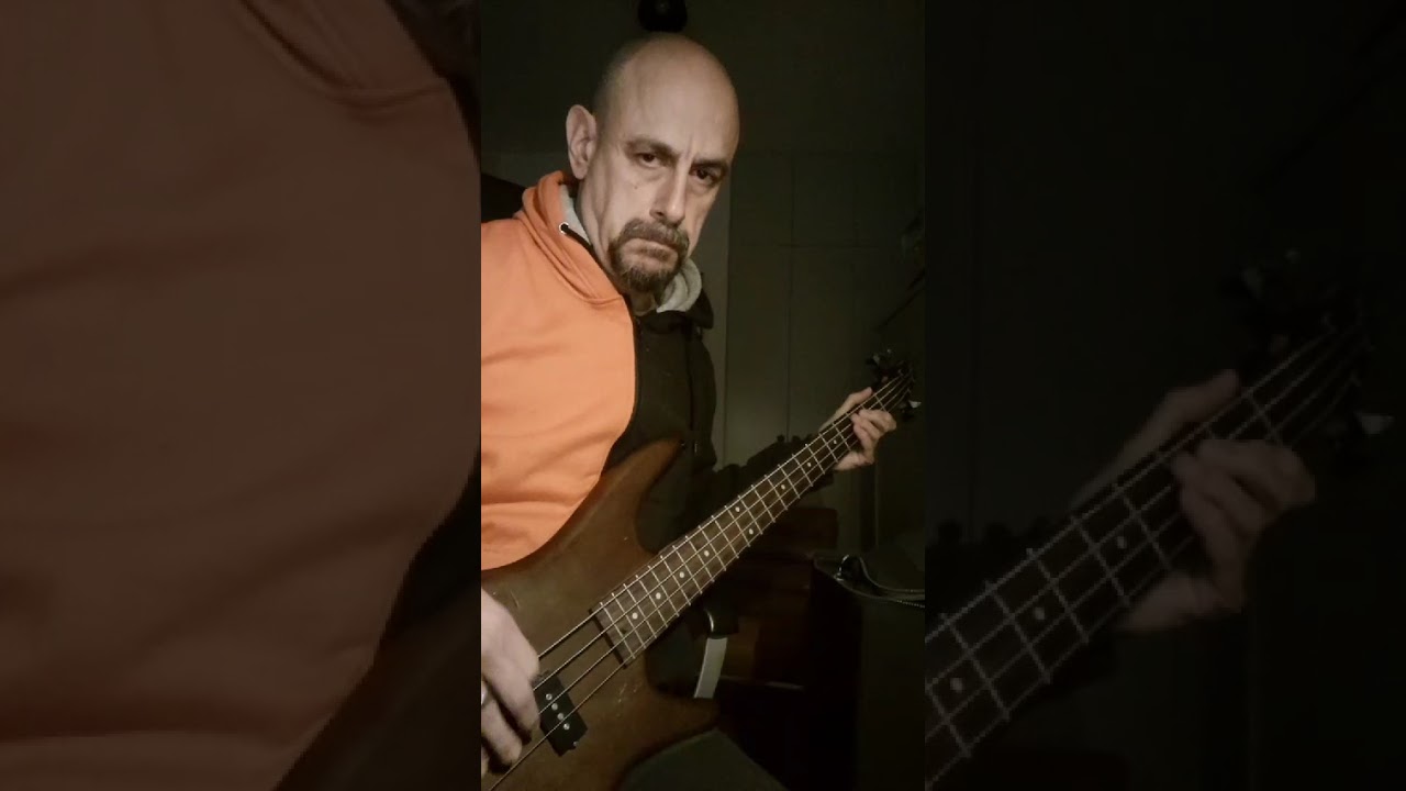 Spirit of the Radio (Rush bass cover)