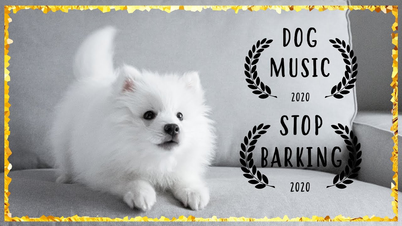 Dog Music to Sleep ~ Pomeranian Music For Dogs ~ Music That Relaxes Dogs (TESTED)