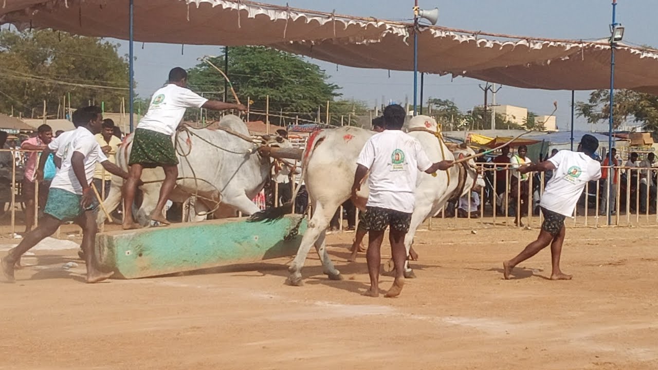 🦁ఐజ న్యూ కేటగిరి విభాగం 9వ జత 💥 కొత్తపల్లి దుబ్బన్న