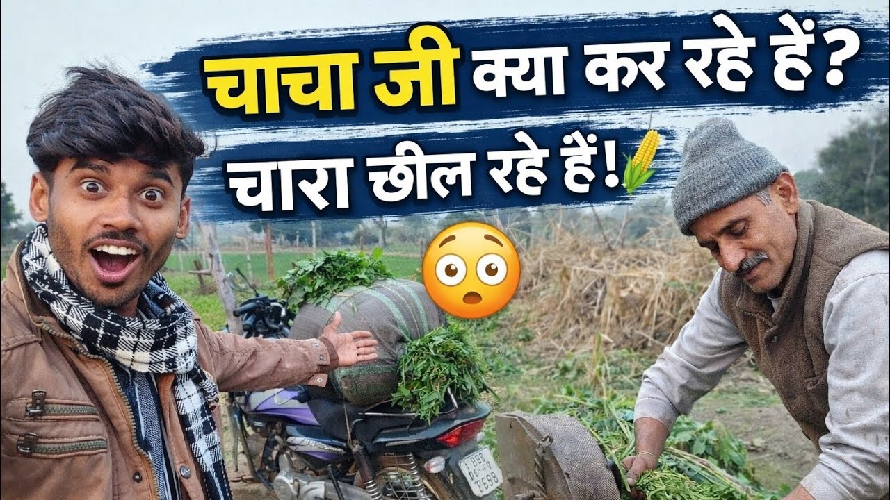 Subah-Subah Chacha Ji Chara Chhil Rahe Hain 🌾 | Gaon Ka Real Scene Daily Vlog 