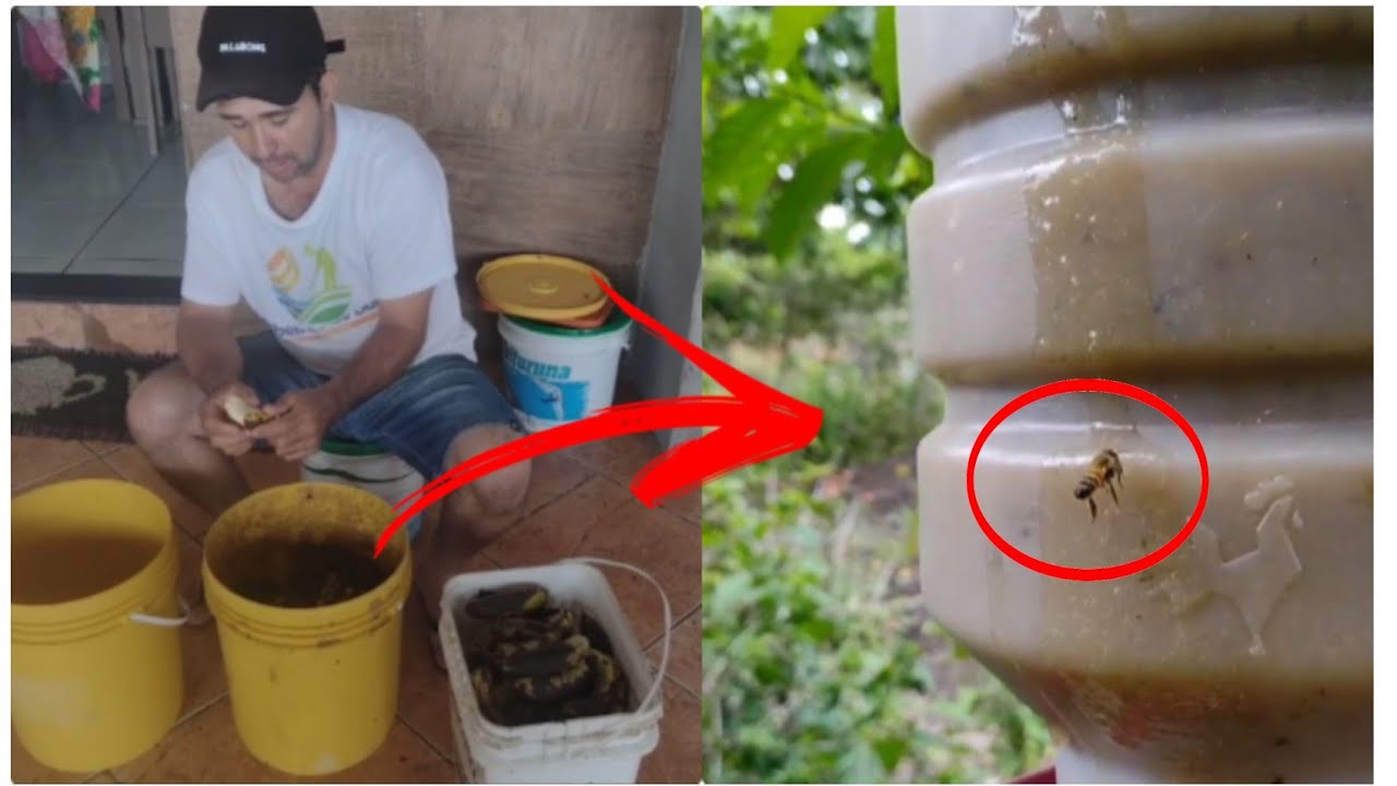 🟠 Veja essa receita de banana 🍌 incrível