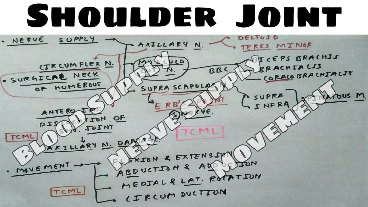 Shoulder Joint anatomy 3d | Part 5 | Upper Limb Anatomy 