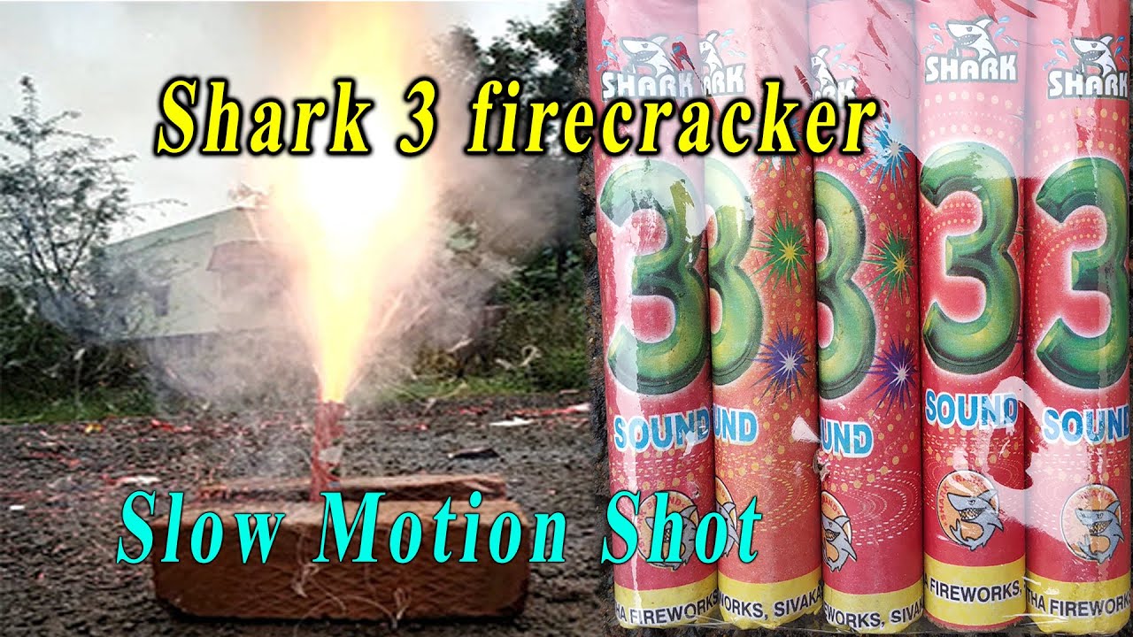 Shark 3 firecracker | fireworks experiment