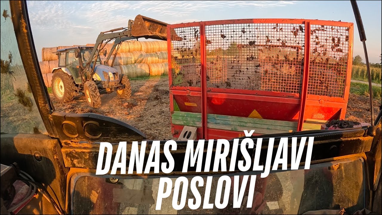 DAN NA FARMI #12 - VOZIMO STAJSKI GNOJ - SJENAŽA