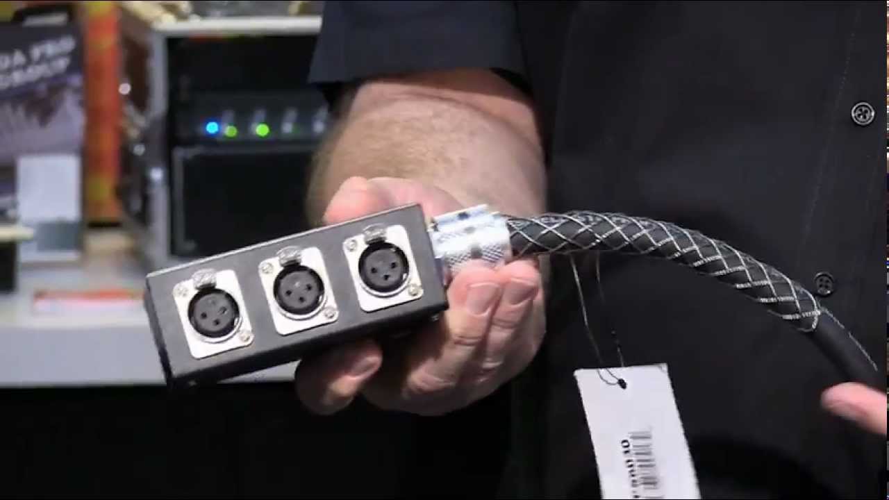 Elite Core Audio Sub-Snake - Review
