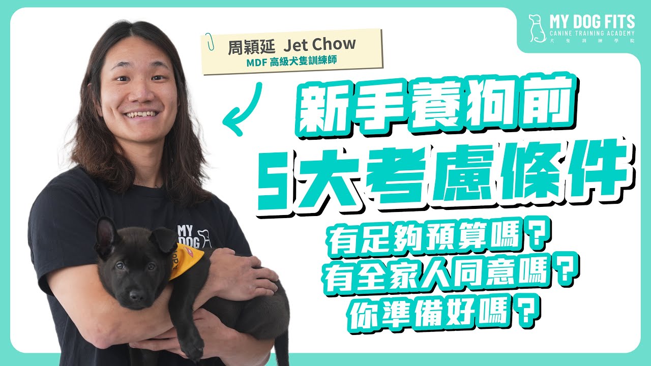 新手養狗前，5大考慮條件！沒想清楚，請你不要養🙏🏻｜MDF