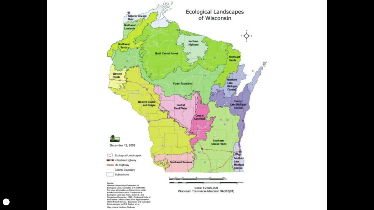 Hunting Morels in Wisconsin with mycologist Michael Scott Zirpoli