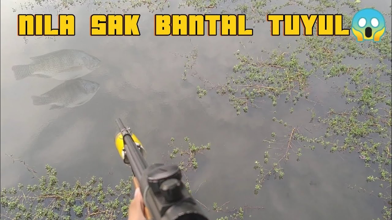 PEMANCING, PEMASER DAN PENJARING, BERADU ILMU KEHEBATAN DI SPOT INI😂