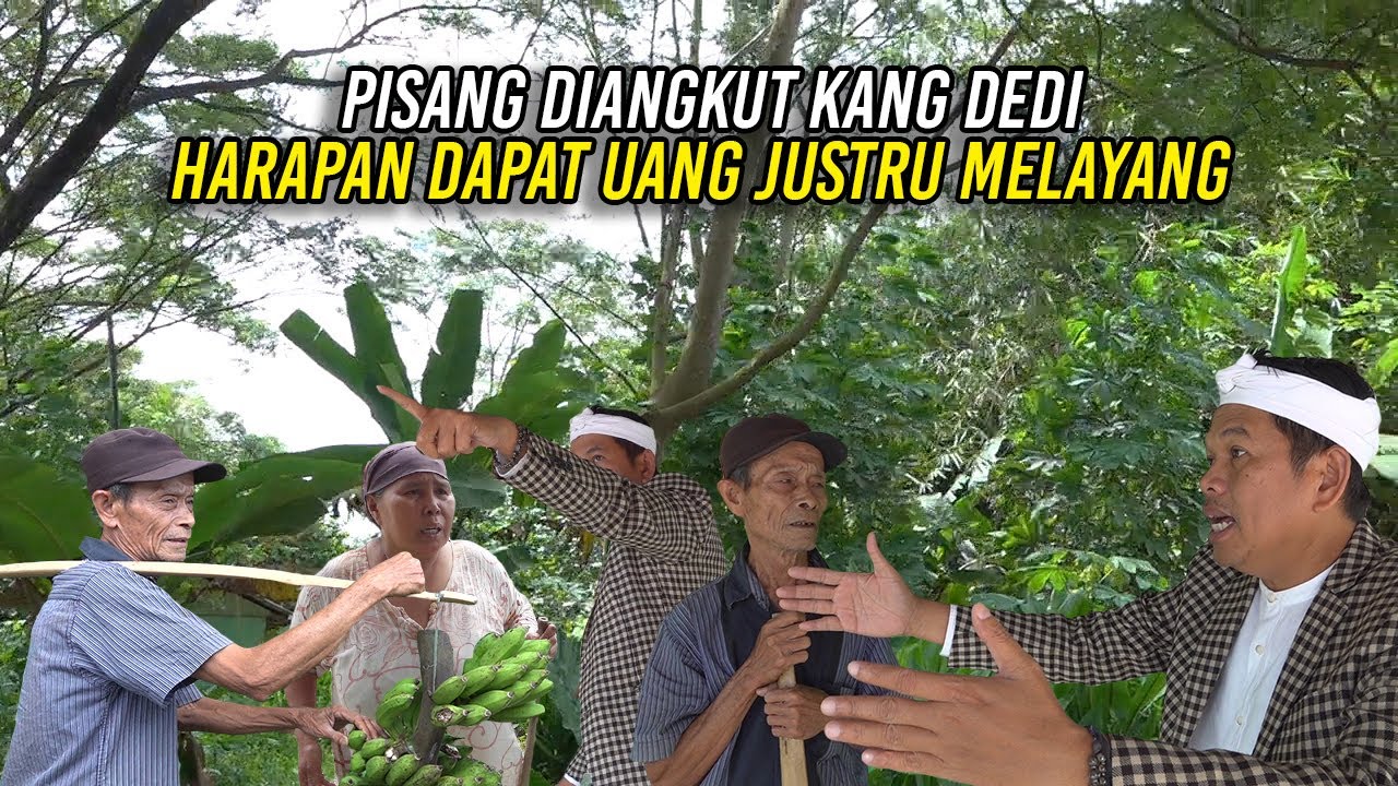 KI NAMIN BINGUNG SAAT PISANG DIANGKUT KANG DEDI-HARAPAN DAPAT UANG UNTUK BER0BAT MELAYANG