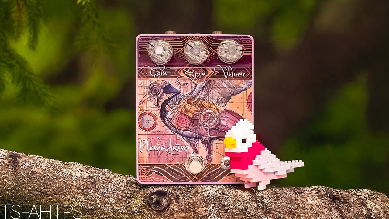 The Most Unique Overdrive You've Never Heard - Galahcore FX Ploverdrive