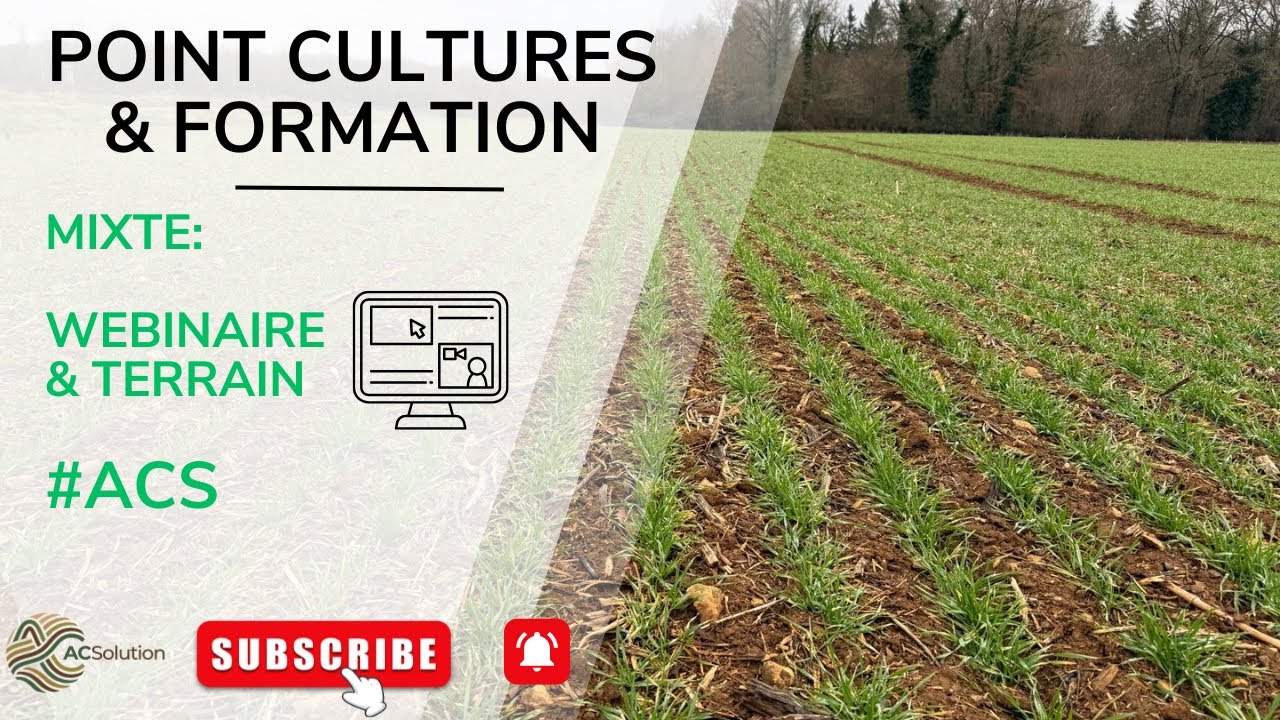 Point cultures et Formation (Webinaire + terrain)
