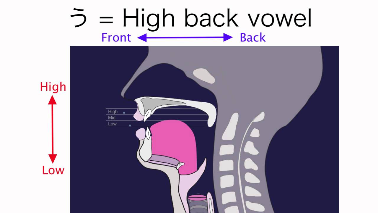How to Pronounce Japanese Vowels