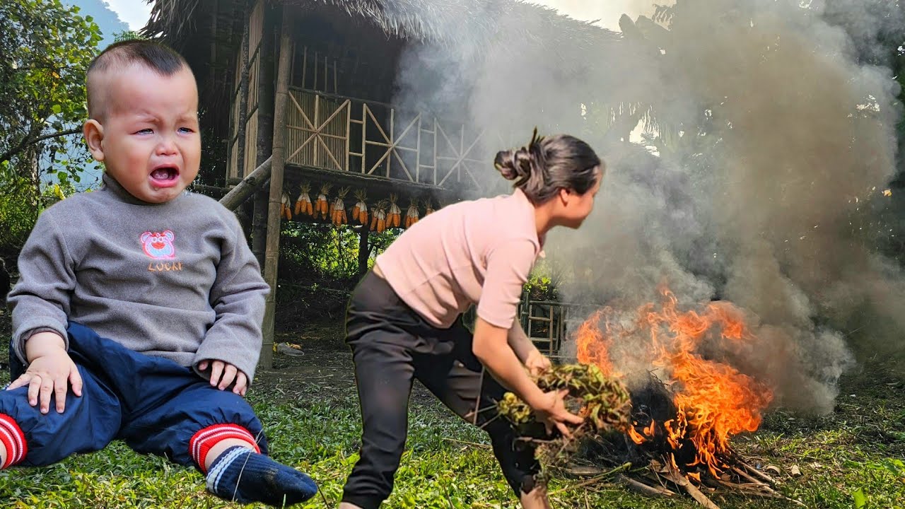 Mother and son - Harvest apples to sell - bamboo stove - cooking