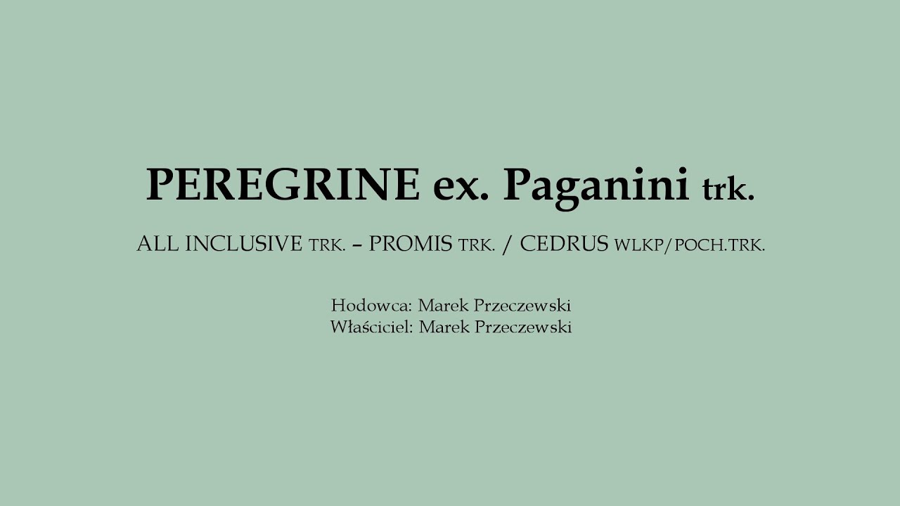 Og. PEREGRINE ex. Paganini trk.