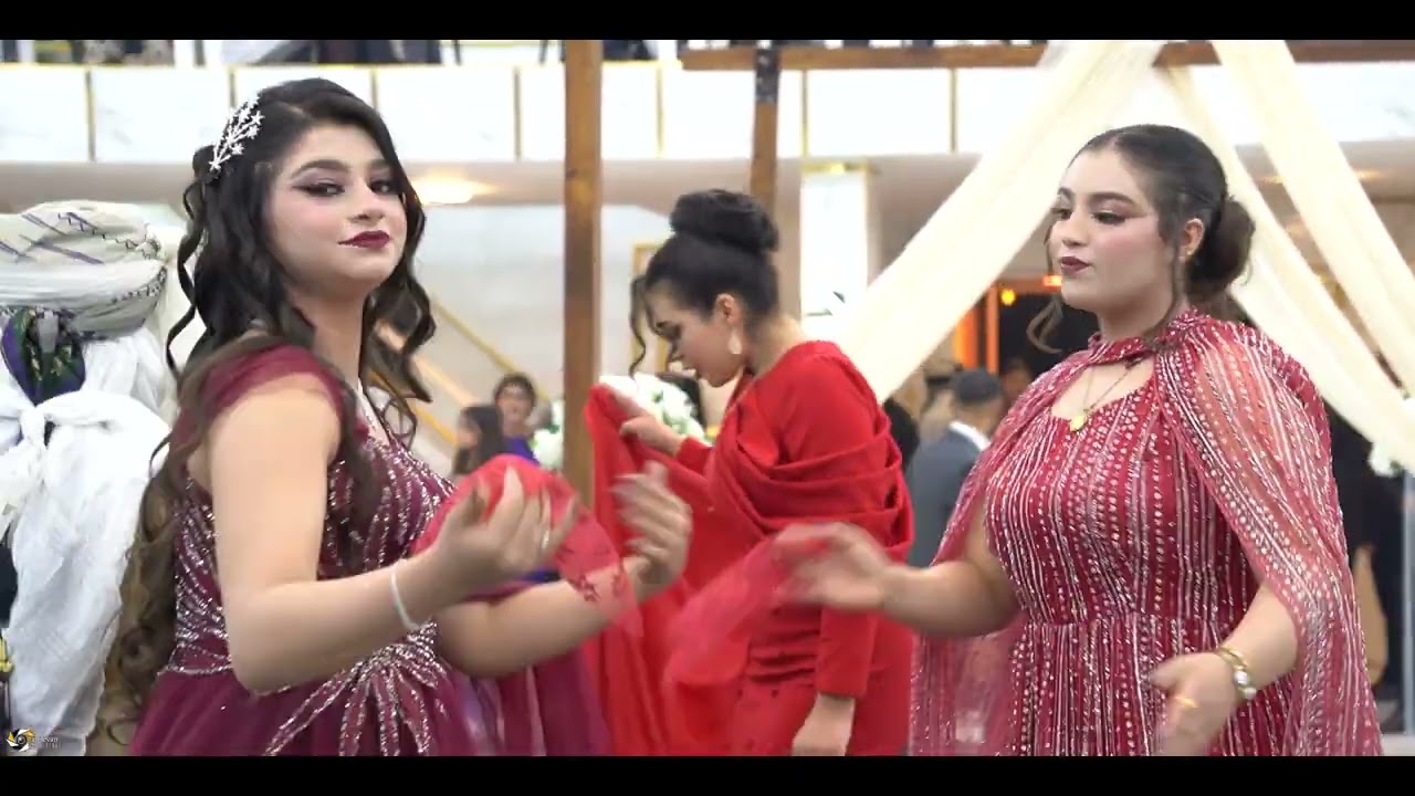 اجمل افراح كوباني صالة نيروز اهل شيخ حيد عريس اسماعيل  2025/11/11 (1) فيديو شامليان 0988677981:حمودة