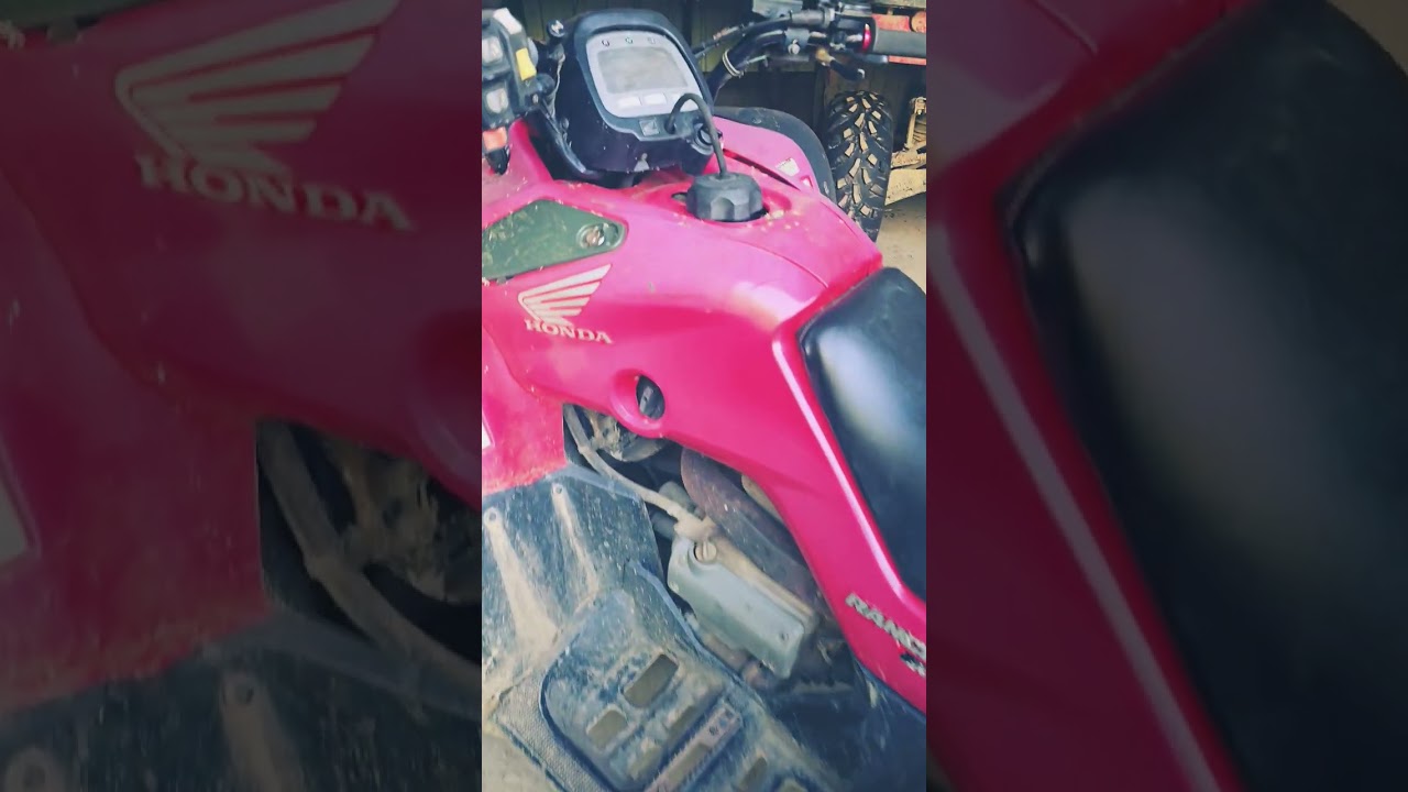 Caltric muffler on rancher 350. #honda #coldstart #shorts