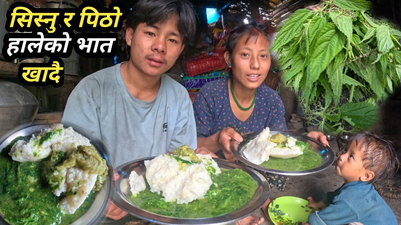 सिस्नु र मकैको पिठो हालेको भात आज धेरैमा मजाले खाइयो नेपालि राष्ट्रिय खाना धेरै मिठो @nischalvlog20