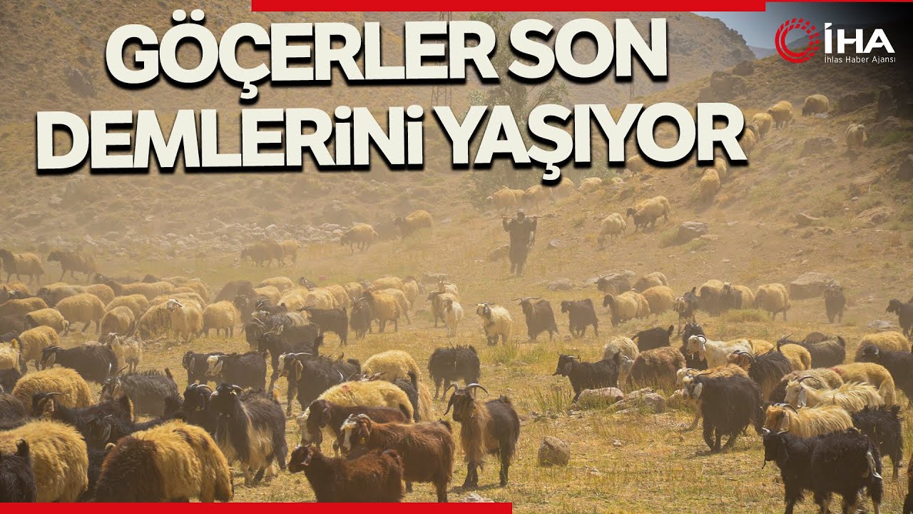 Şırnak'ta G&ouml;&ccedil;erler Yaylalara İnmeye Hazırlanıyor