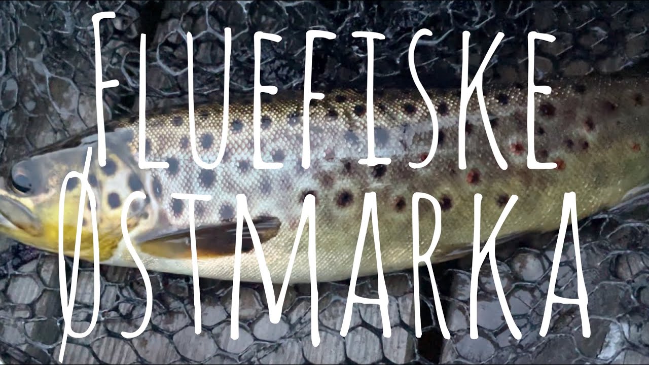 Fluefiske Østmarka - Hashtag 