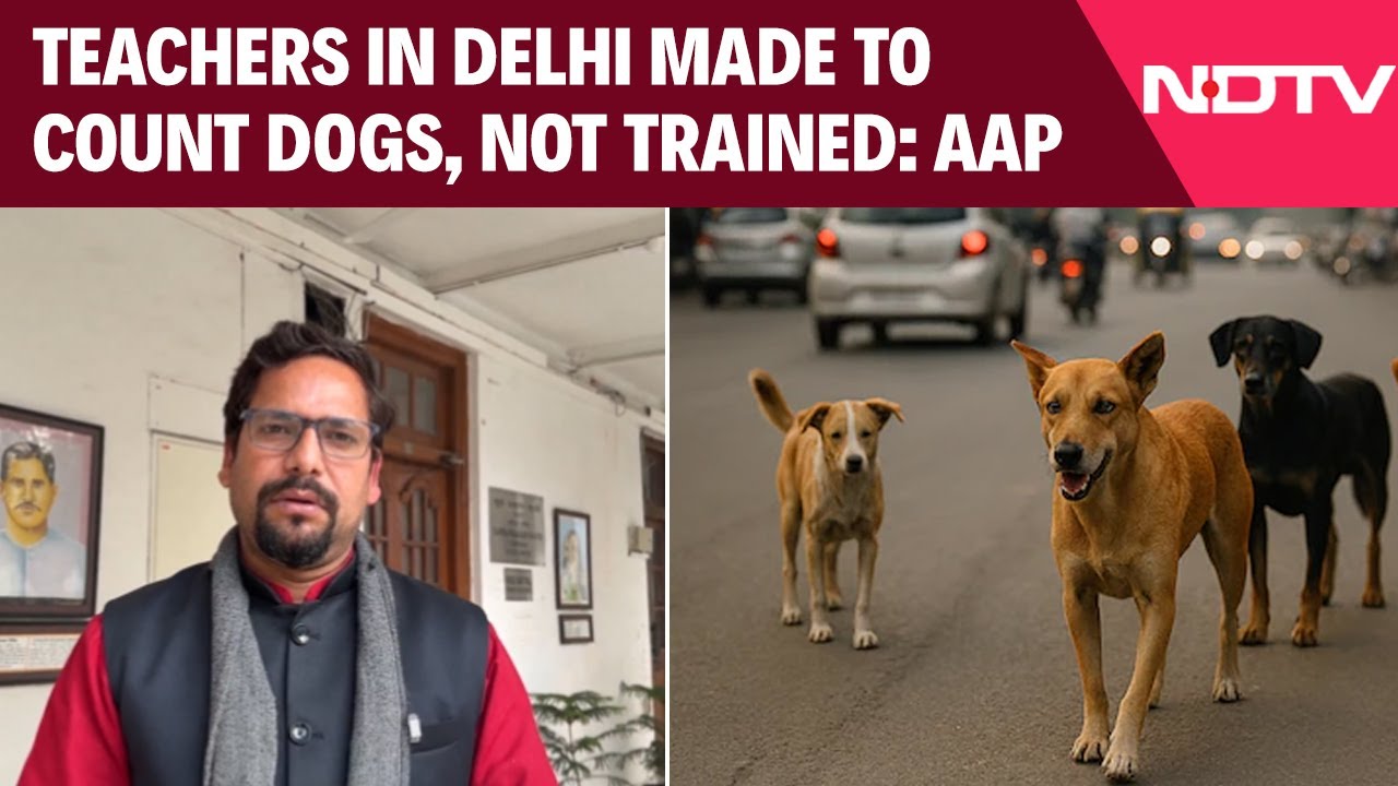 AAP News | Teachers in Delhi Made to Count Dogs, Not Trained: AAP