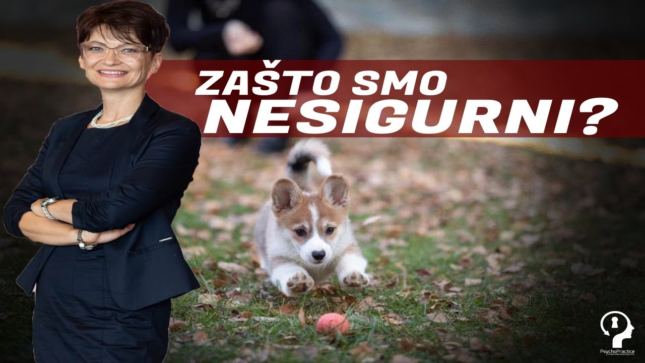Zašto smo nesigurni ?｜prof. dr. sc. Jasna Bajraktarević