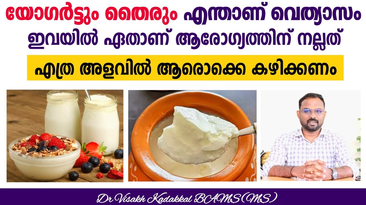 യോഗർട്ടും തൈരും ( Yogurt & Curd ) വെത്യാസം എന്താണ് ? ആരോഗ്യത്തിന് നല്ലത് ഏതാണ് ? Dr Visakh Kadakkal
