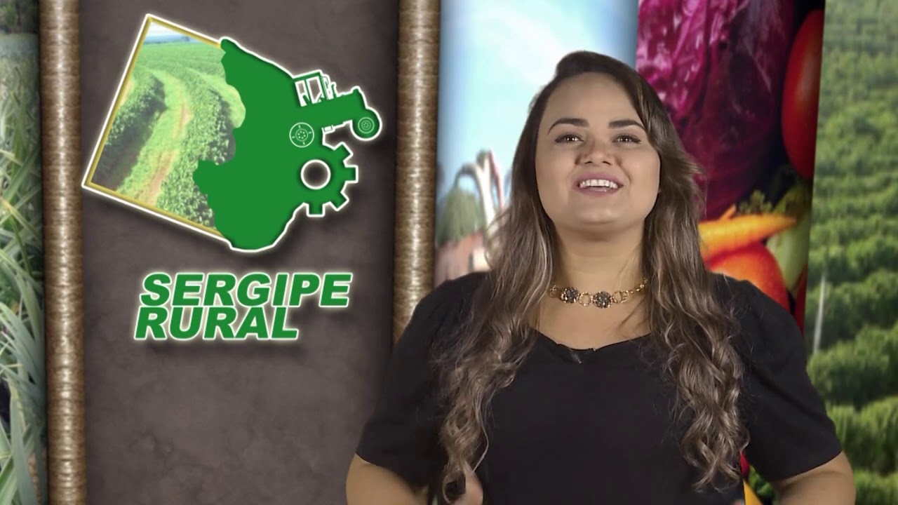 Sergipe Rural - PROGRAMA 271