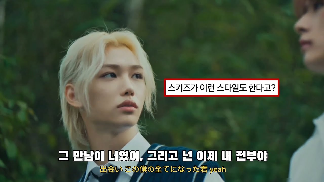 우리는 처음부터 만나게 될 운명이었어🌙[스트레이키즈 Straykids _숙명宿命 가사해석]
