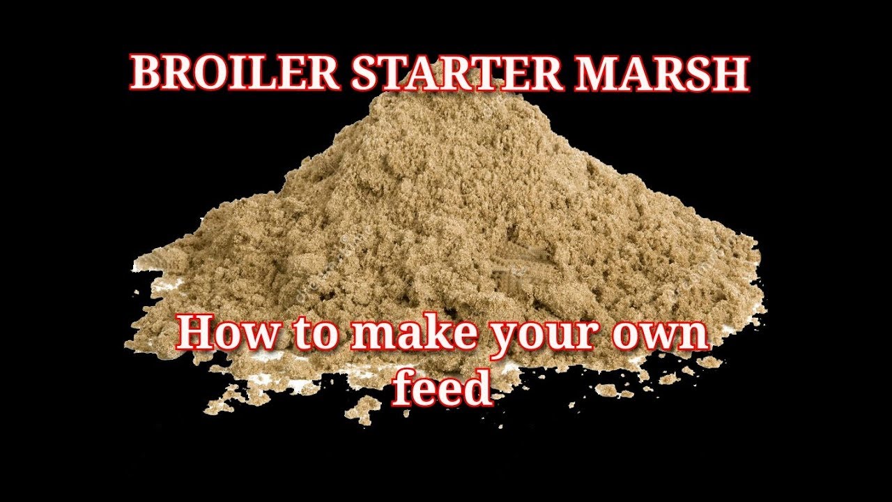How to make your own poultry feed | Broiler Starter Marsh Formulae (Part 3)