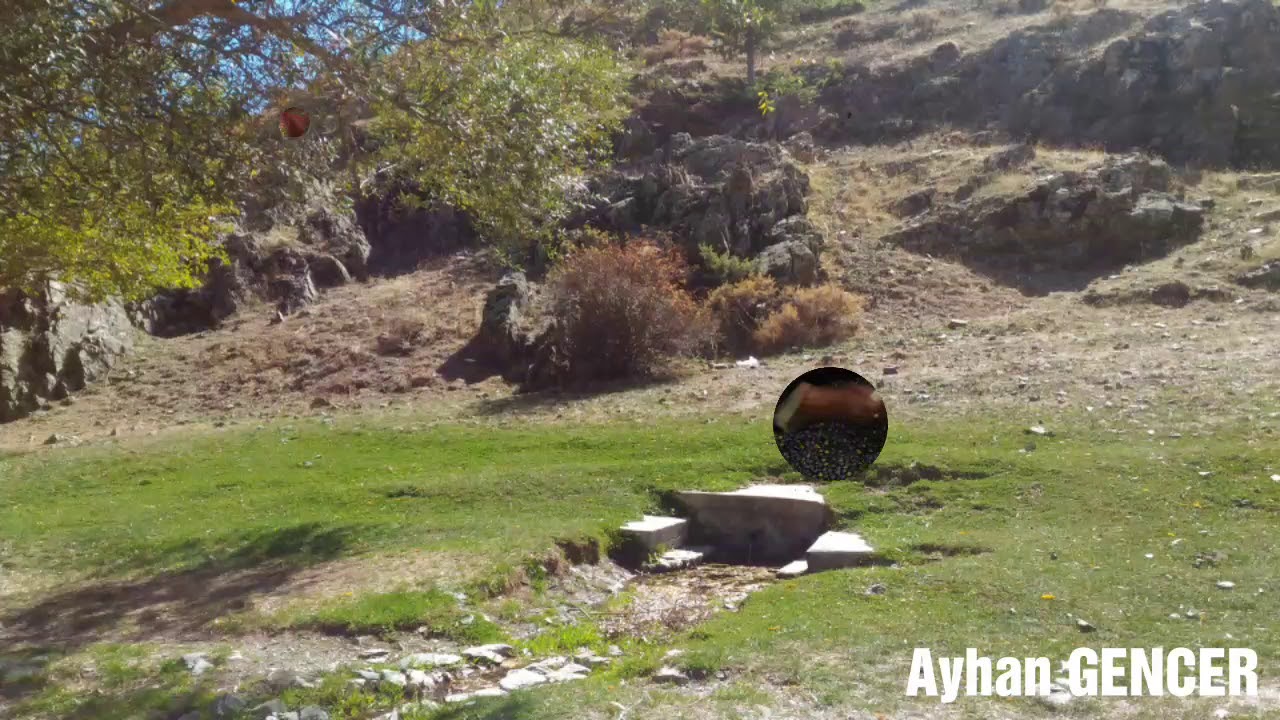 FEKE MANSURLU INDERESI