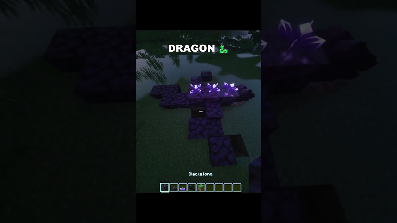 Dragonnn... 