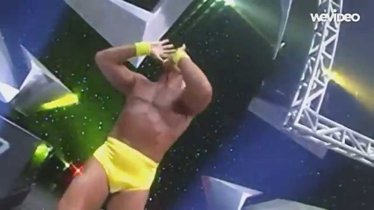 WCW Hulk Hogan Custom Turner Vision