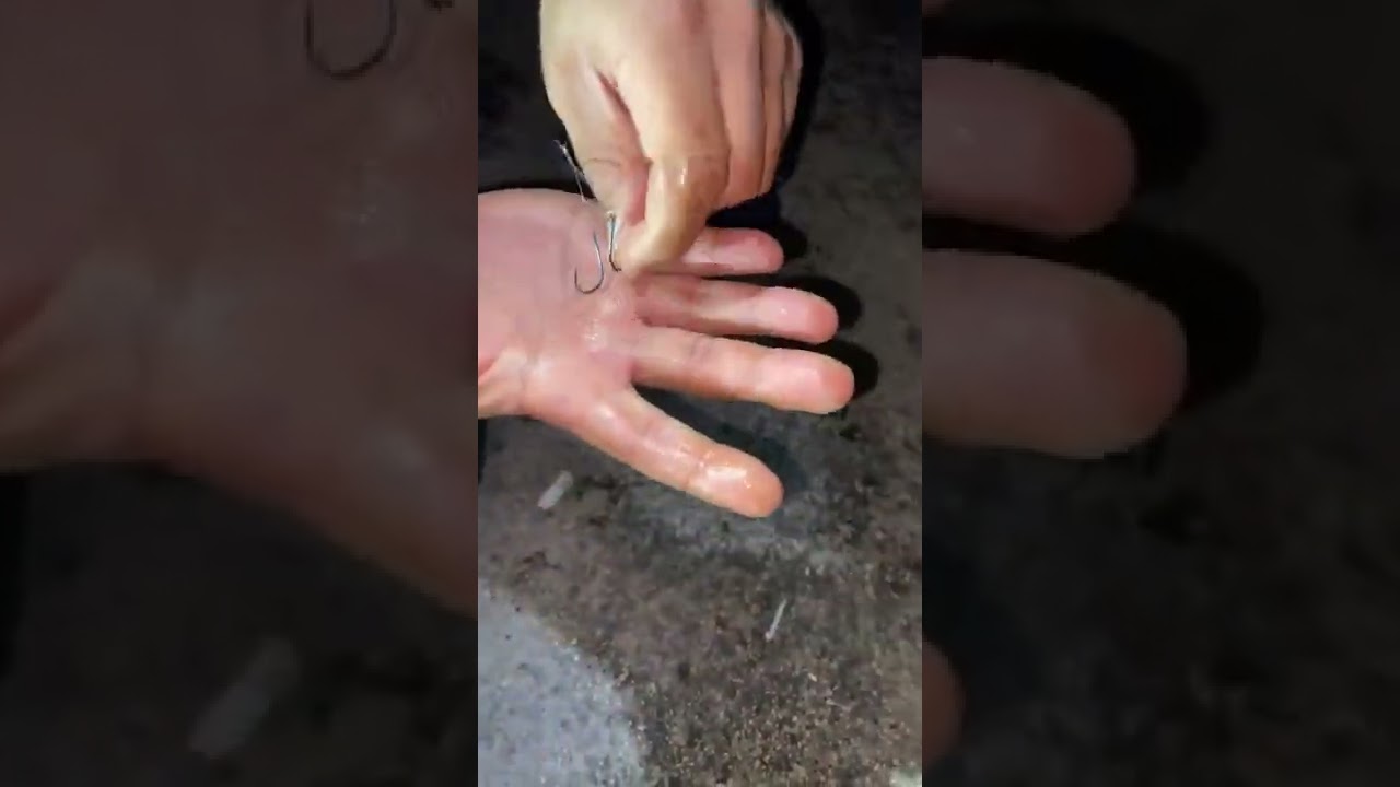 P&ecirc;che la dorade au crabe en morceaux la bombe 💣