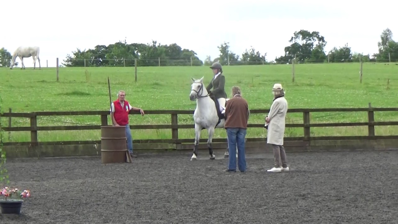 Moreton Morrell Working Equitation 2017