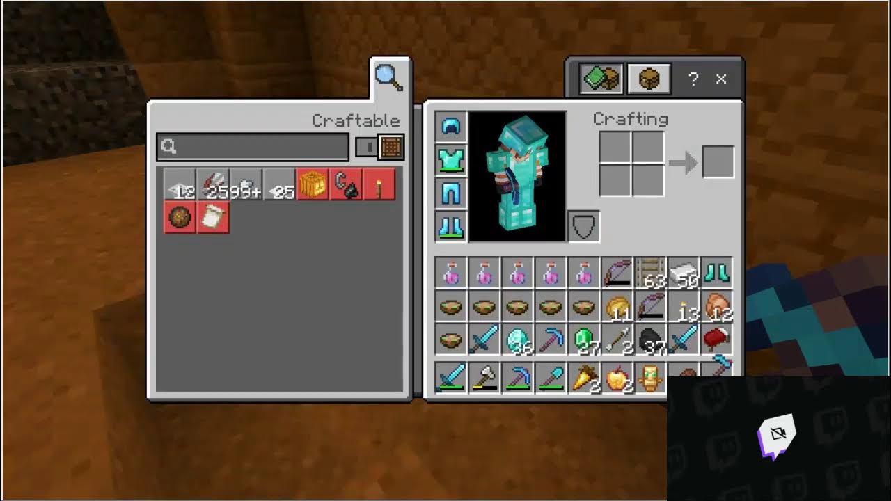 play with my subscribers in minecaft