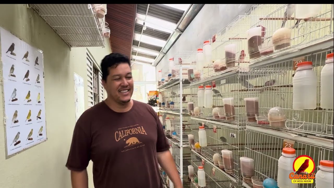 Vida no Canaril: Alimentação, Limpeza e Muito Amor 💛🐥